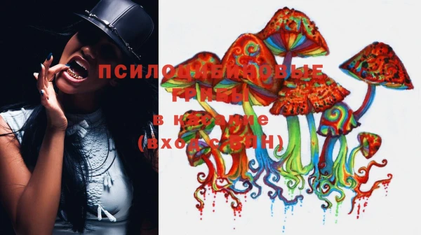 стафф Горно-Алтайск