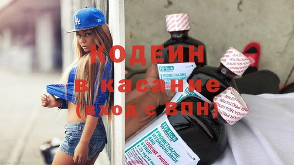 амф Горняк